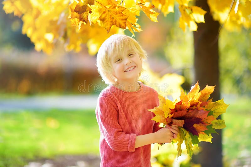 Portrait of Cute Preschooler Boy on Sunny Autumn Day. Child Holding Red ...