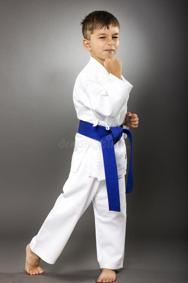 Portrait D'un Enfant De Karaté Dans Le Kimono Prêt à Combattre Photo stock  - Image du courroie, énergie: 45531272