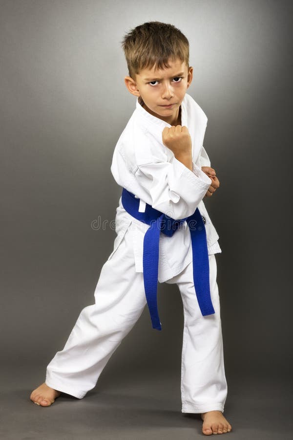 Portrait D'un Enfant De Karaté Dans Le Kimono Prêt à Combattre Photo stock  - Image du courroie, énergie: 45531272