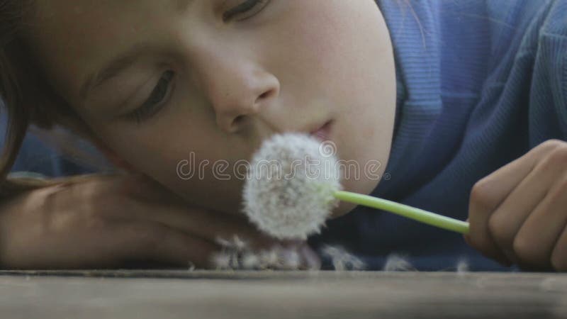 Portrait d'un garçon avec un pissenlit de fleur L'enfant en gros plan de visage avec le pissenlit