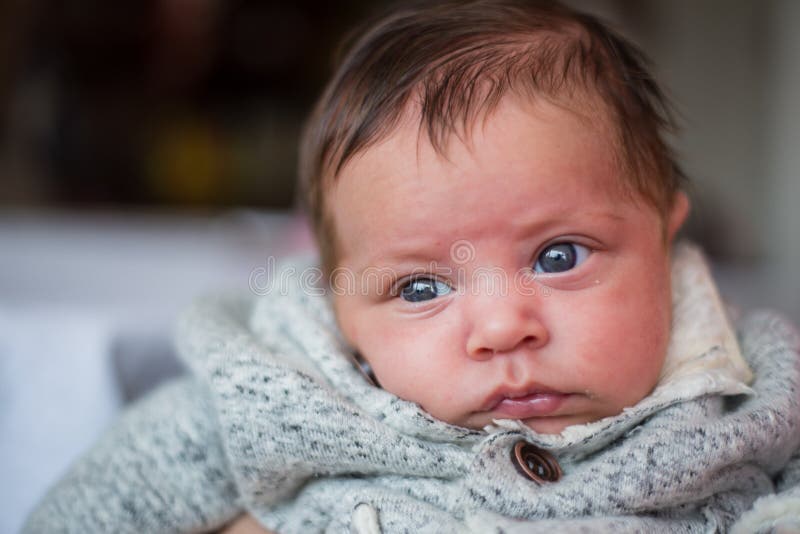 Portrait D Un Petit Bebe D Yeux Bleus De Metis Image Stock Image Du Maman Bonheur 4027 Portrait D Un Petit Bebe D Yeux Bleus De Metis Image Stock Image Du Maman Bonheur 4027