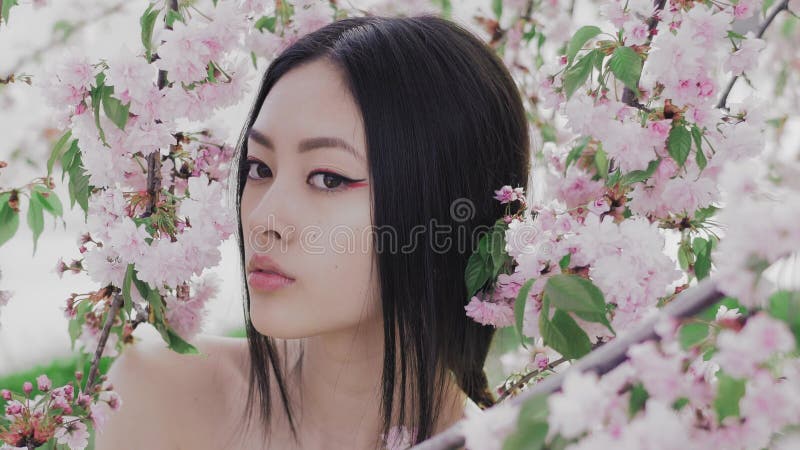Portrait d'une belle fille asiatique dehors contre l'arbre de fleur de ressort backstage