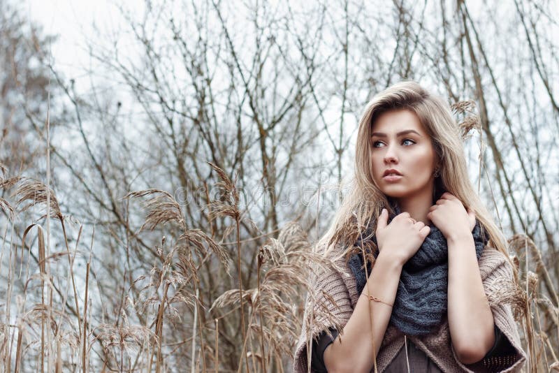 Portrait d'une belle fille avec des yeux bleus dans une veste grise dans le domaine parmi les arbres et l'herbe sèche grande, tei photos libres de droits Portrait d'une belle fille avec des yeux bleus dans une veste grise dans le domaine parmi les arbres et l'herbe sèche grande, tei photos libres de droits
