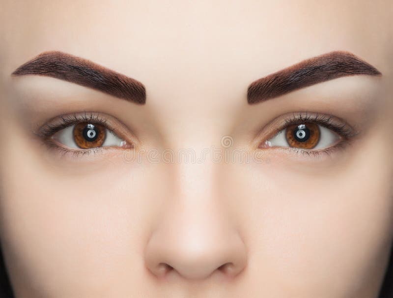 Portrait d'une femme avec de beaux, bien-toilettés sourcils, après teinture d'un salon de beauté images stock Portrait d'une femme avec de beaux, bien-toilettés sourcils, après teinture d'un salon de beauté images stock
