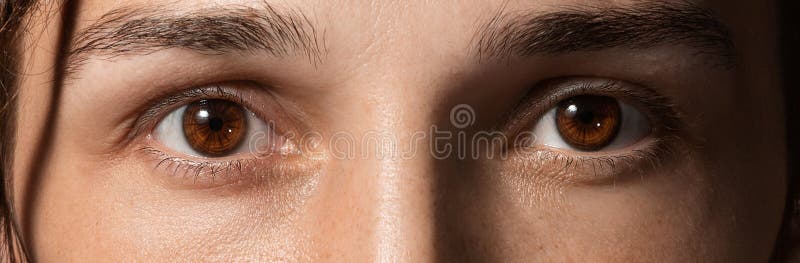 Portrait d'une fille avec des dreadlocks avec les yeux bruns allumés par le coucher de soleil images libres de droits