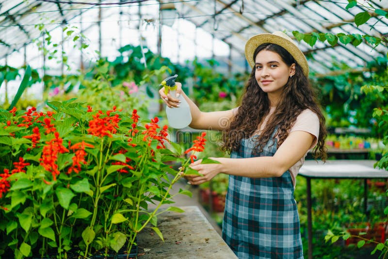 Arrosage des plantes de jardinage, bouteille de pulvérisation d