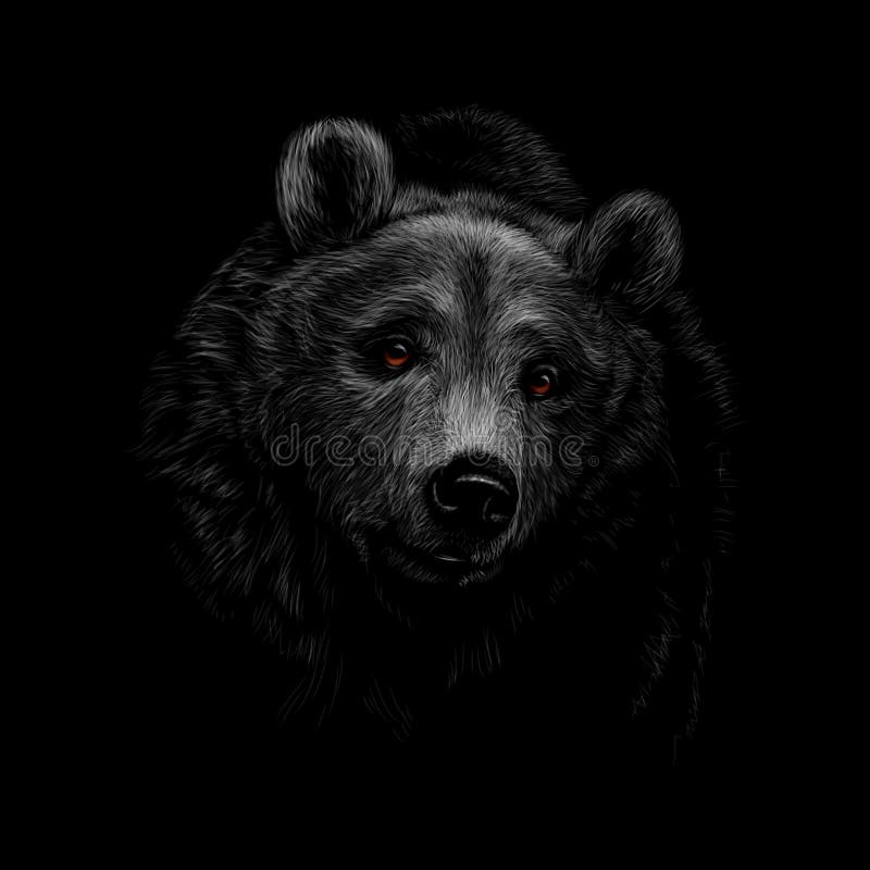 Portrait d'une tête d'ours brun sur un fond noir