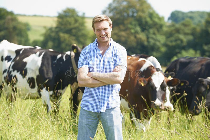 Portrait Of Dairy Farmer In Field With Cattle royalty free stock image