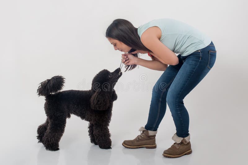 Portrait de belle jeune femme jouant avec son beau chien images stock Portrait de belle jeune femme jouant avec son beau chien images stock