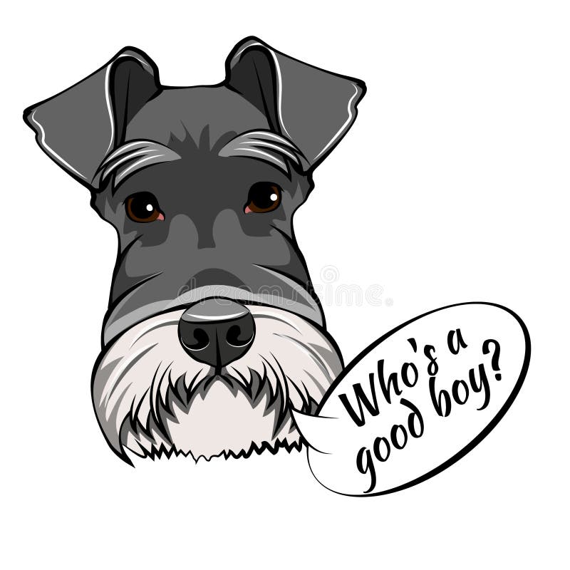 Portrait de chien de Schnauzer Qui est bon lettrage de garçon Race de chien Tête de Schnauzer, visage, museau Vecteur illustration de vecteur Portrait de chien de Schnauzer Qui est bon lettrage de garçon Race de chien Tête de Schnauzer, visage, museau Vecteur illustration de vecteur