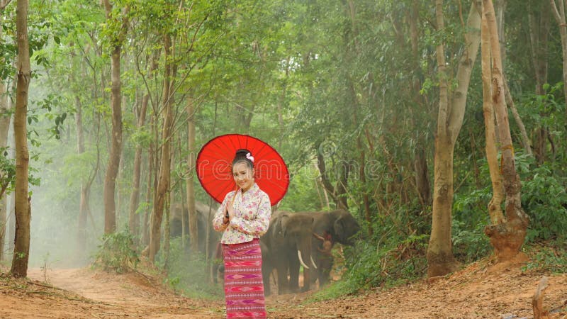 Portrait de la femme asiatique attirante dans le costume asiatique du sud-est traditionnel souriant à la caméra banque de vidéos