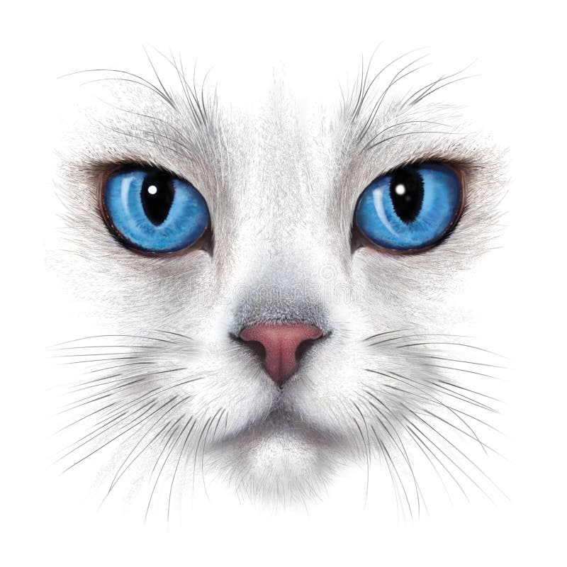 portrait de Main-dessin du chat blanc
