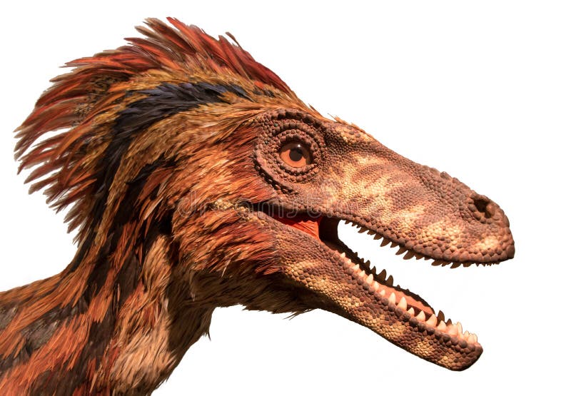 Deinonychus Stock Photo - Download Image Now - Deinonychus, Dinosaur,  Feather - iStock