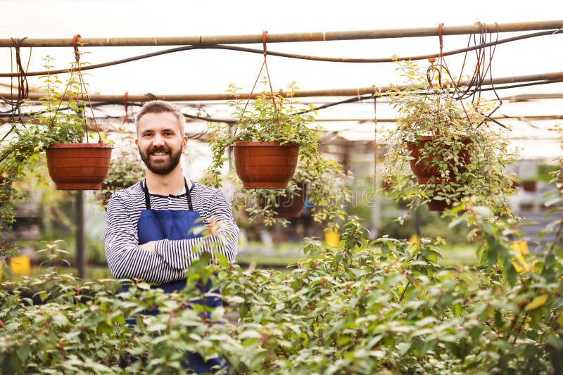 Portrait of gardener standing in the middle of plants, flowers and seedlings. Small greenhouse business. Offering wide range of plants during spring gardening season. Portrait of gardener standing in the middle of plants, flowers and seedlings. Small greenhouse business. Offering wide range of plants during spring gardening season.