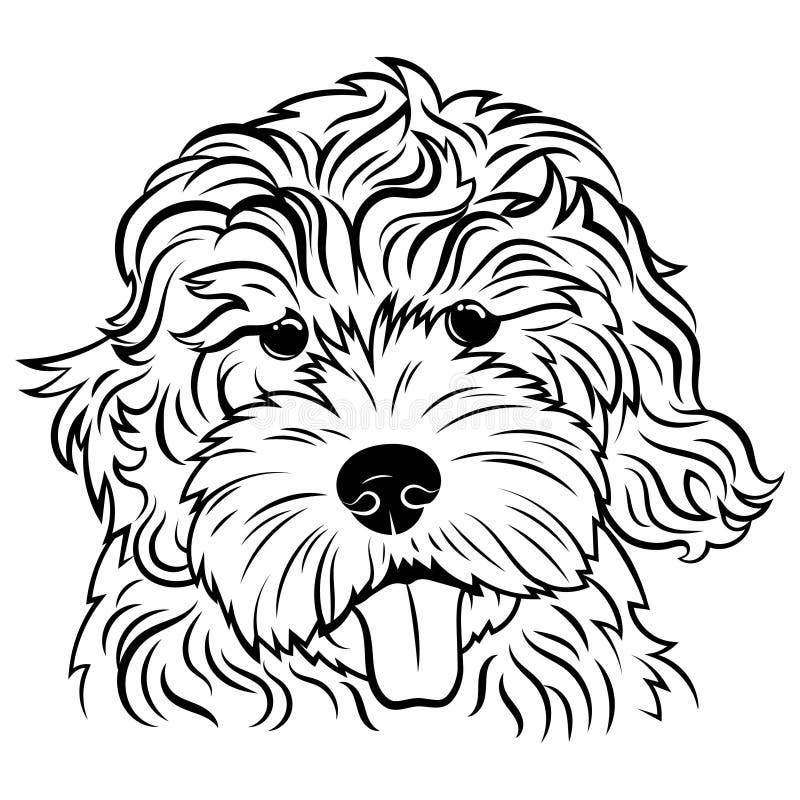 Goldendoodle Decal Dog Coloring Pages Art Sketch Coloring Page