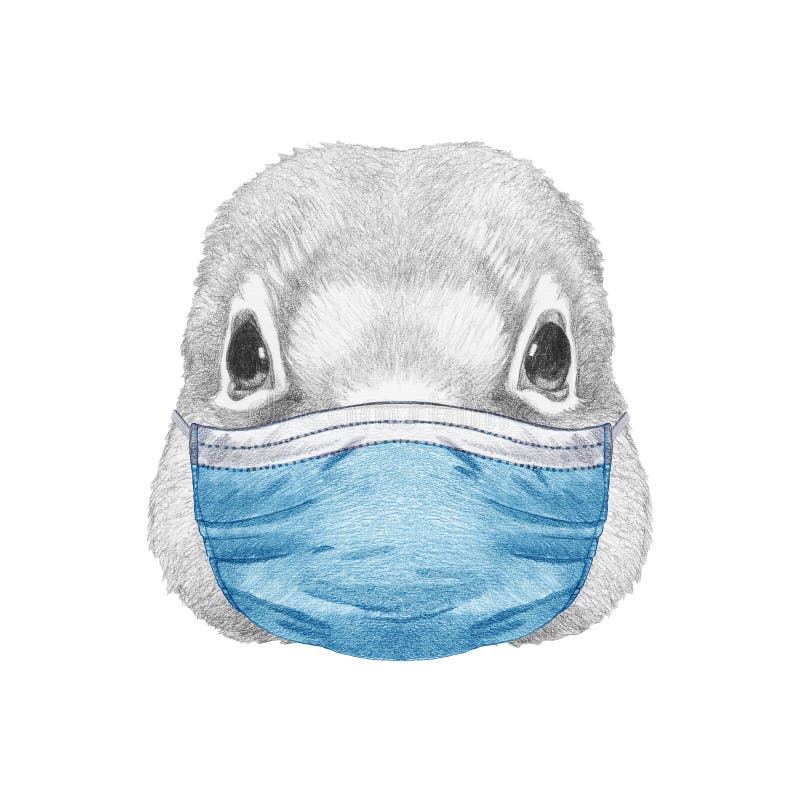 Portrait of Duck with a Face Mask. Handdrawn Illustration. Stock
