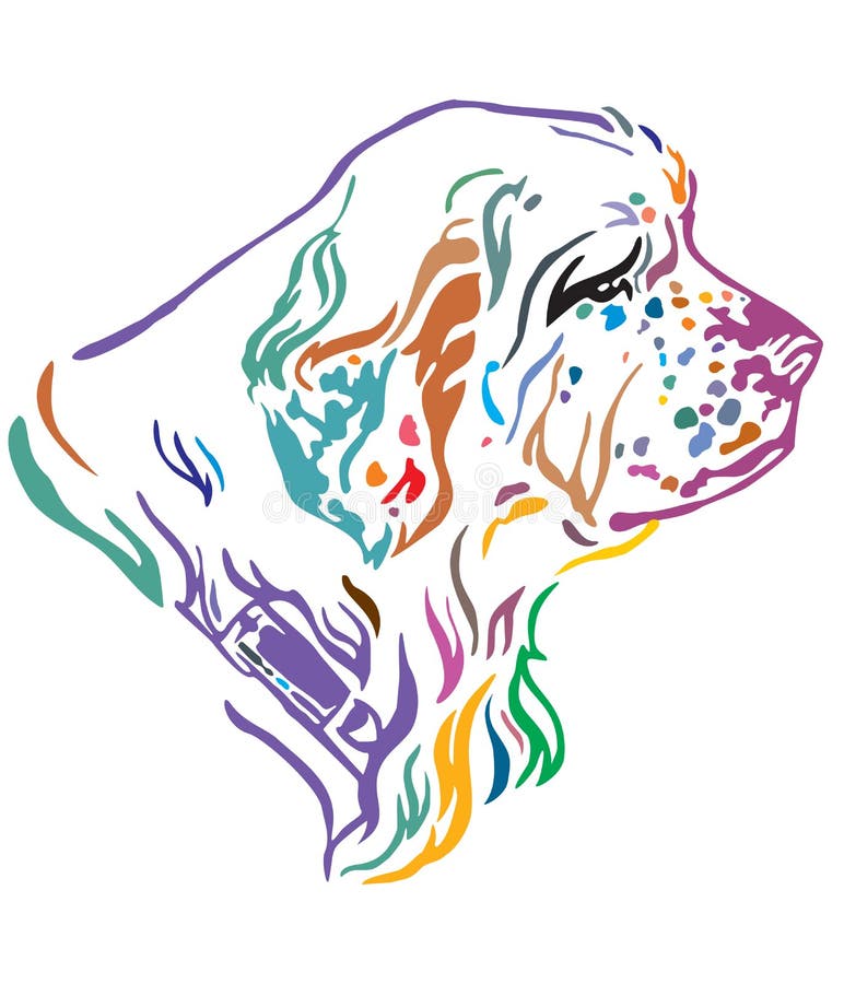 Portrait décoratif coloré d'illustration de vecteur d'épagneul de Clumber de chien illustration de vecteur Portrait décoratif coloré d'illustration de vecteur d'épagneul de Clumber de chien illustration de vecteur