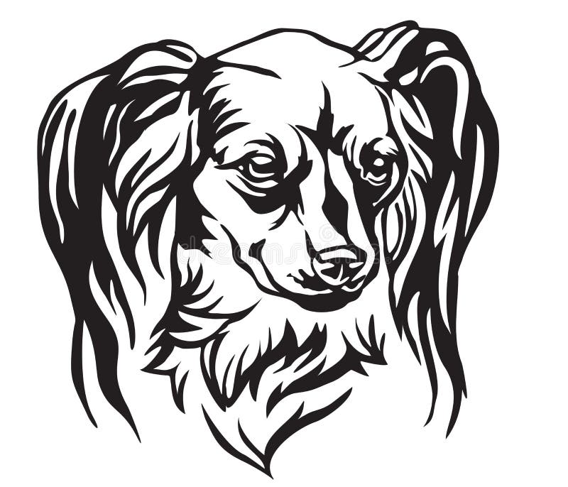 Decorative portrait of Dog Long haired Russian Toy Terrier, vector isolated illustration in black color on white background. Image for design and tattoo. Decorative portrait of Dog Long haired Russian Toy Terrier, vector isolated illustration in black color on white background. Image for design and tattoo.