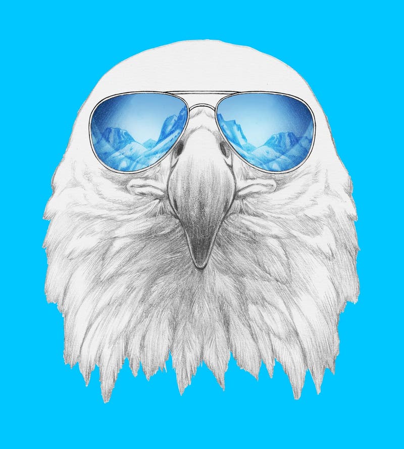 eagle wearing sunglasses