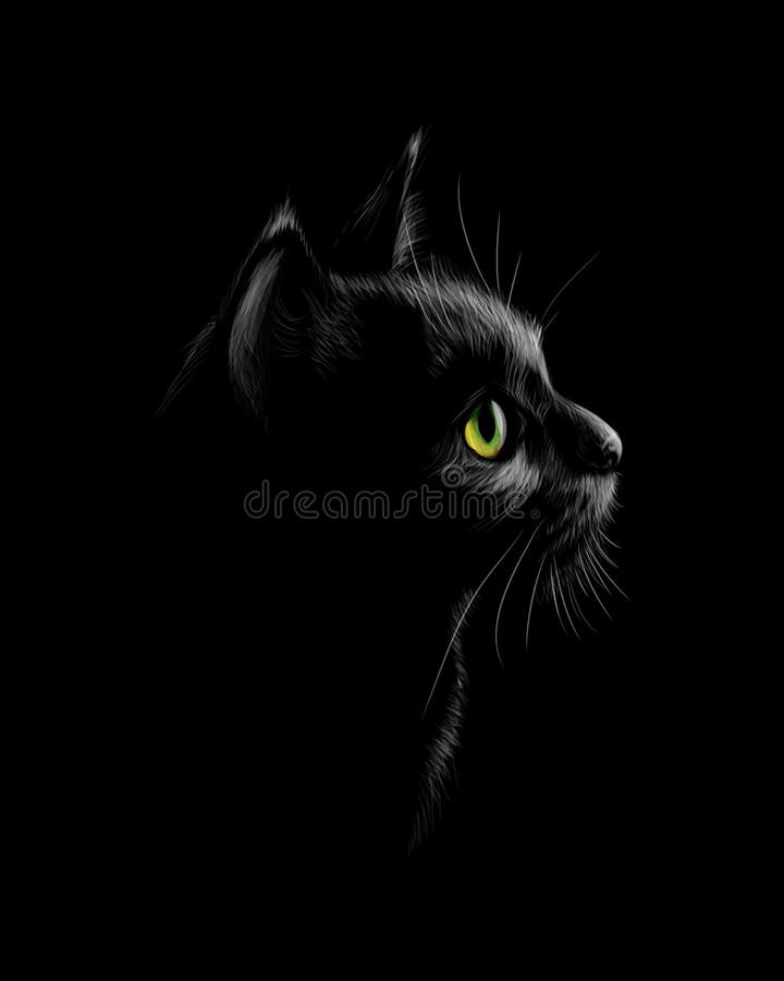 Portrait Einer Katze Auf Einem Schwarzen Hintergrund Vektor Abbildung Illustration Von Portrait Schwarzen