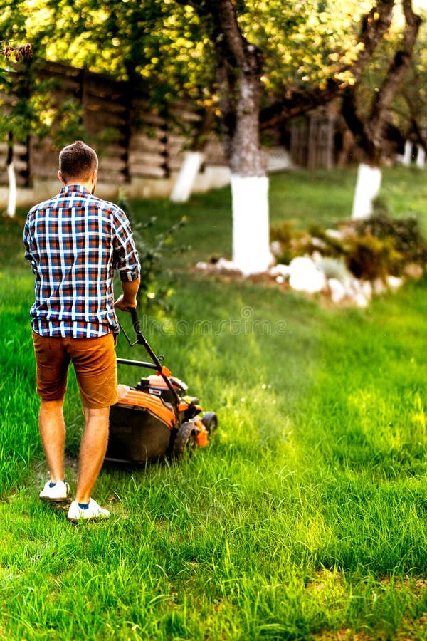 Gardener Mowing the Lawn during Summertime Evening Stock Photo Image of landscaping, evening