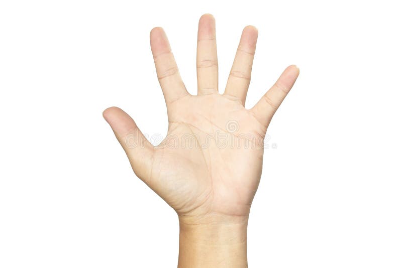 Woman Left Hand Showing Five Fingers Stock Photos - Free & Royalty-Free  Stock Photos from Dreamstime