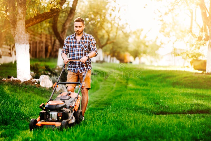 Handsome Gardener Mowing the Lawn during Summertime Evening Stock Image