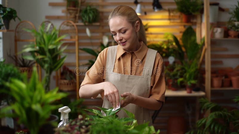 Portrait of happy attractive female florist takes care of plants at home with hands, dusting flowers.