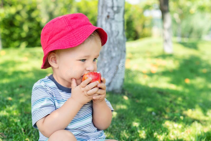 Portrait of happy Cute adorable toddler boy sitting on green grass and eating ripe juicy organic apple in fruit garden under trees royalty free stock photo Portrait of happy Cute adorable toddler boy sitting on green grass and eating ripe juicy organic apple in fruit garden under trees royalty free stock photo