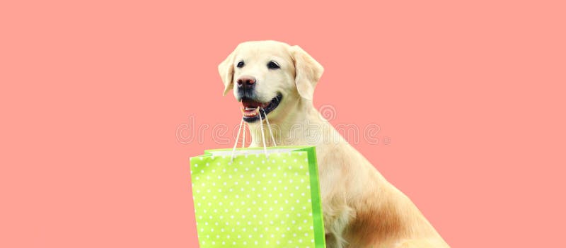 Sea Bags | Golden Retriever Medium Tote