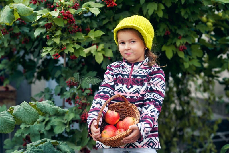 Little girl with fresh apples on the plot royalty free stock photography Little girl with fresh apples on the plot royalty free stock photography