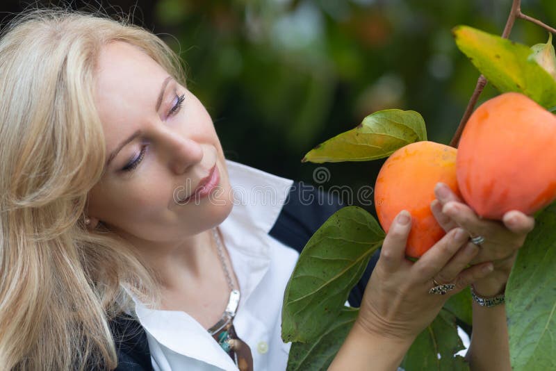 Portrait horizontal d'une femme blonde caucasienne qui ramasse des hachiya persimmons images stock Portrait horizontal d'une femme blonde caucasienne qui ramasse des hachiya persimmons images stock
