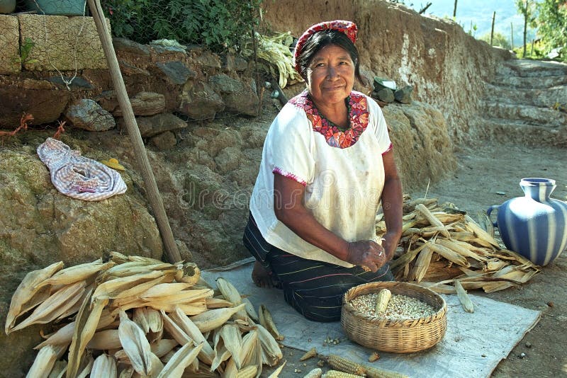 Portrait of Indian woman during peeling corn stock image Portrait of Indian woman during peeling corn stock image