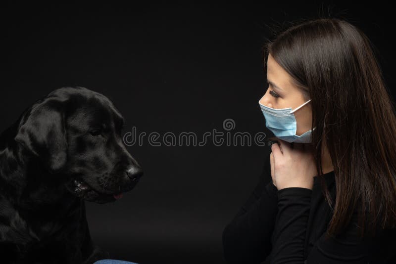 are labrador dogs protective