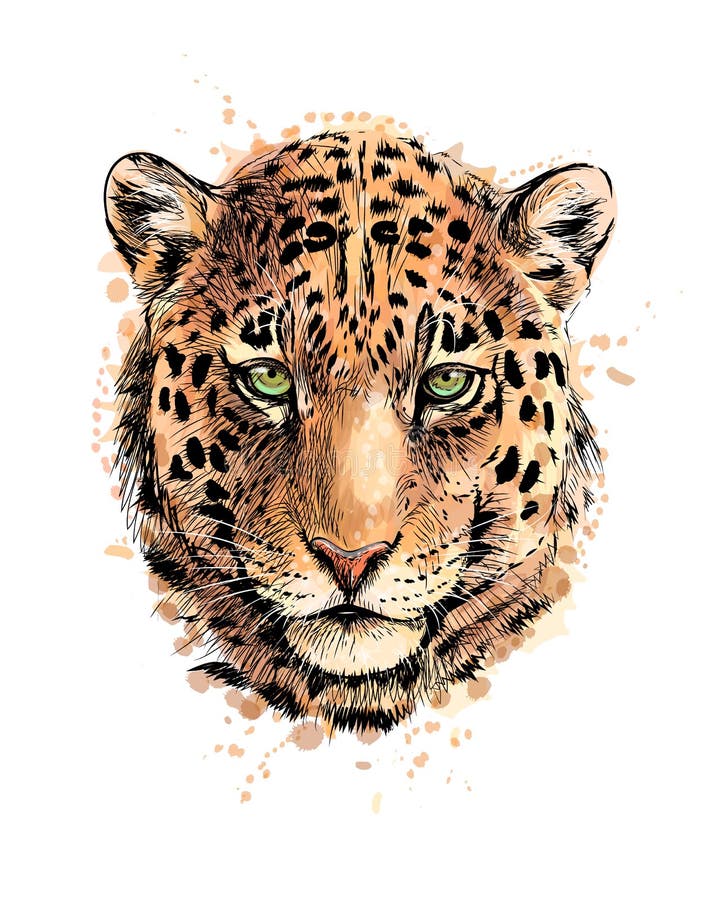 Portrait of a leopard head from a splash of watercolor