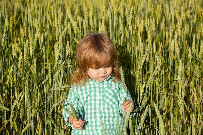 Portrait of a Little Baby Boy in a Wheat Field Outdoor in the Farm