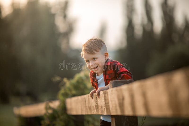 Portrait of a little boy in the evening park