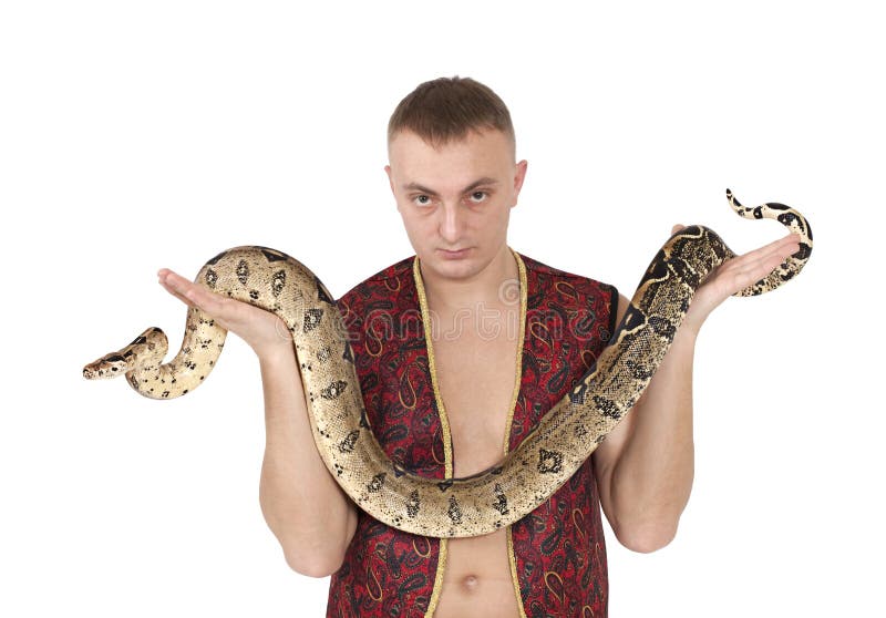 Foto de Davyd Bortnik no Pexels Snake, Reptiles, Living with cats