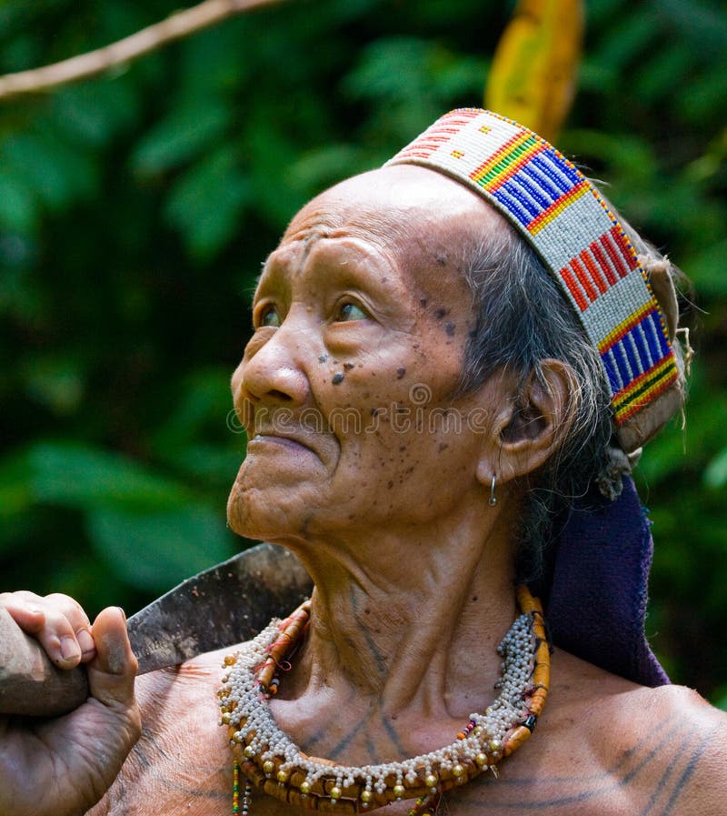  Man Mentawai Tribe  Prepares Poison For The Arrows For 