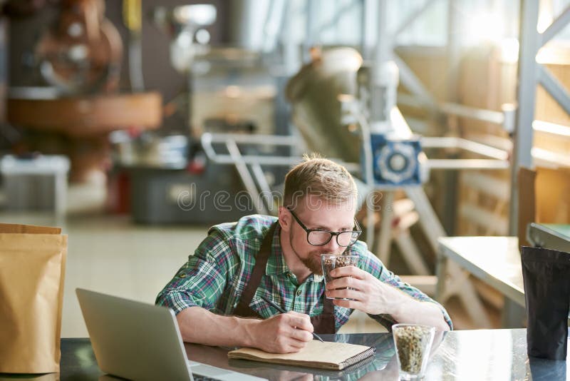 Barista Feeling Coffee Aroma stock photography