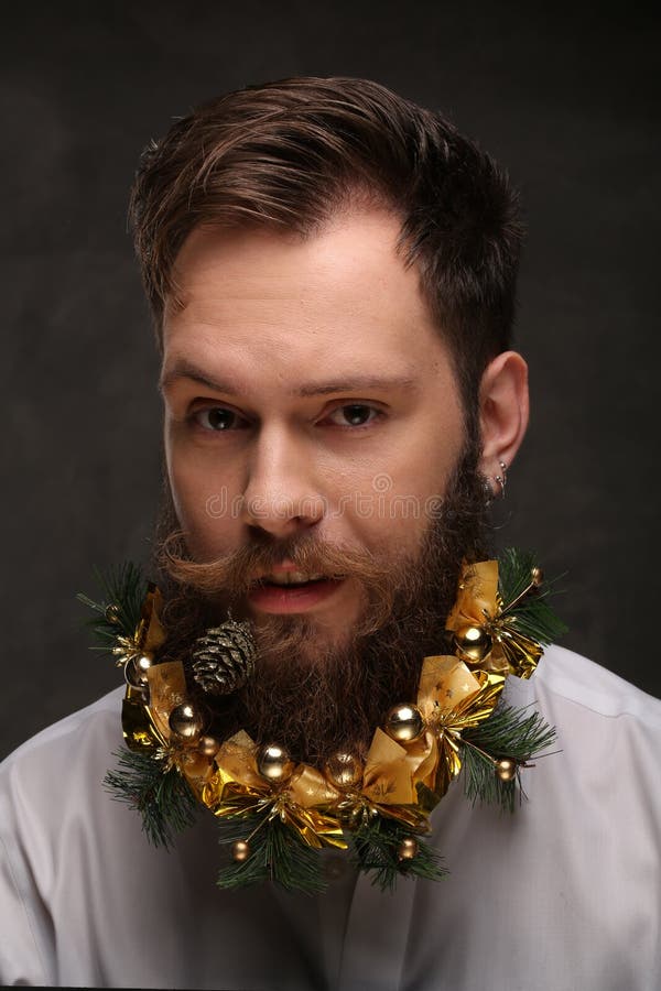 Portrait of New Year Man, Long Beard with Christmas Cones Stock Image