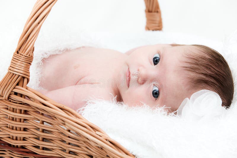 Baby in basket stock image. Image of haired, little, look 4136075