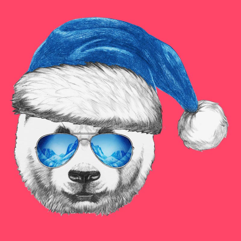 Portrait of Panda with Santa Hat and Sunglasses. Stock Illustration