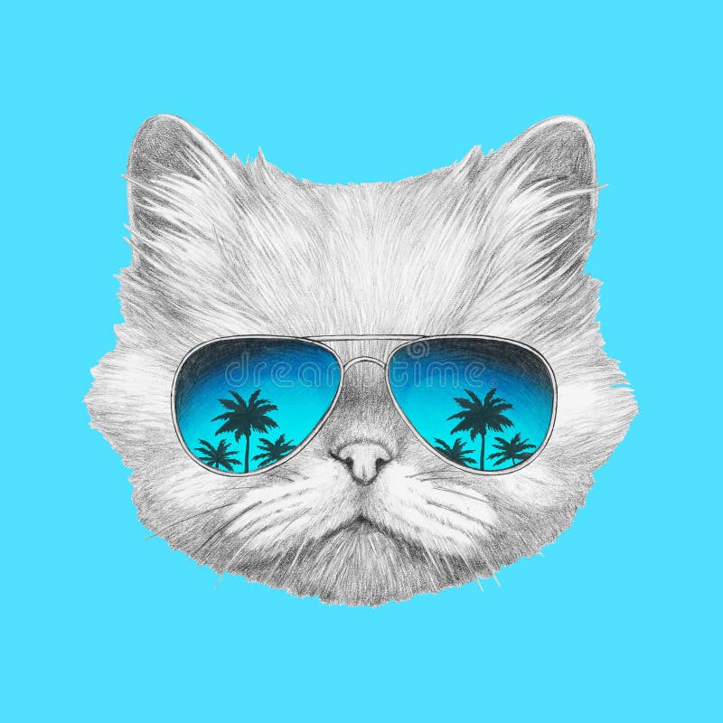 Black cat, cartoon, cat, fluffy, pet, sunglasses, vacation icon