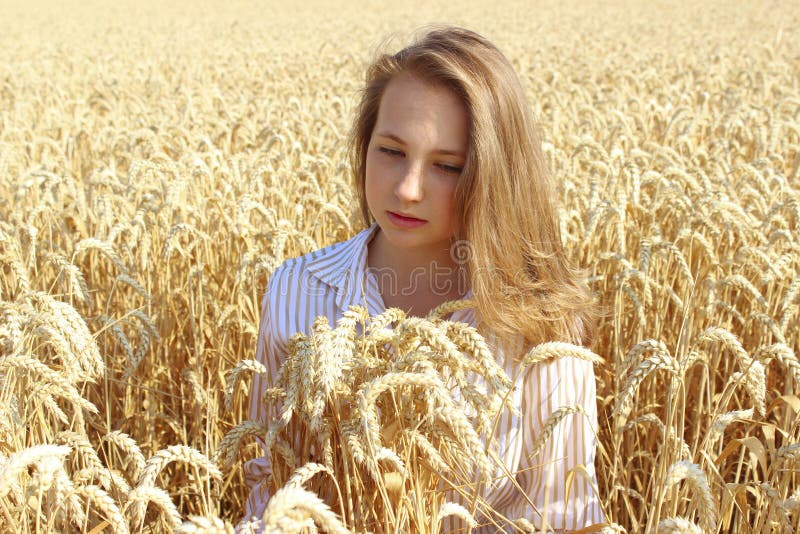 Portrait of a pretty woman sitting in a summer wheat field and looking down. People, nature and travel concept. royalty free stock photography Portrait of a pretty woman sitting in a summer wheat field and looking down. People, nature and travel concept. royalty free stock photography