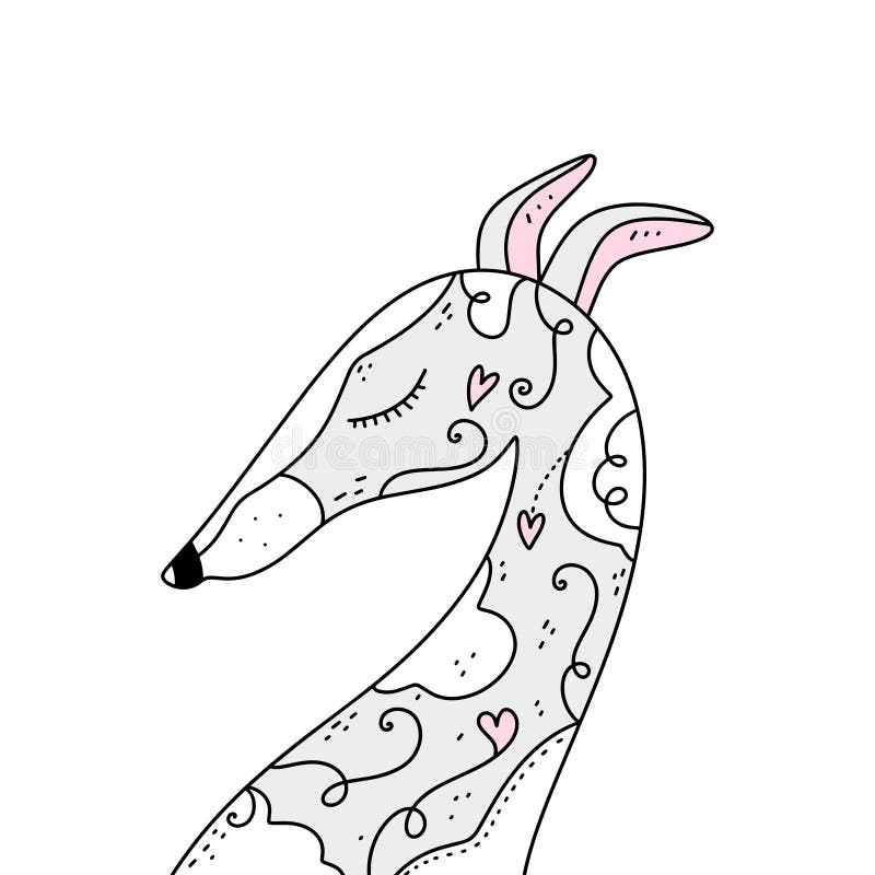 Baby Whippet Stock Illustrations 14 Baby Whippet Stock