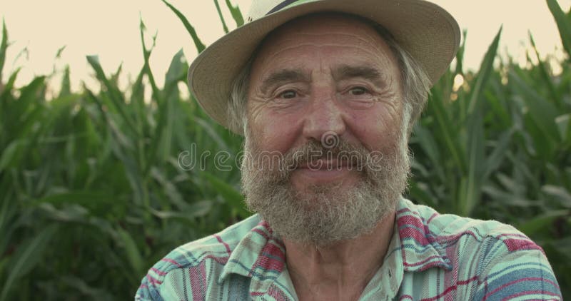 Portrait rapproché d'un fermier chevronné heureux se réjouit de la caméra dans le champ de maïs banque de vidéos