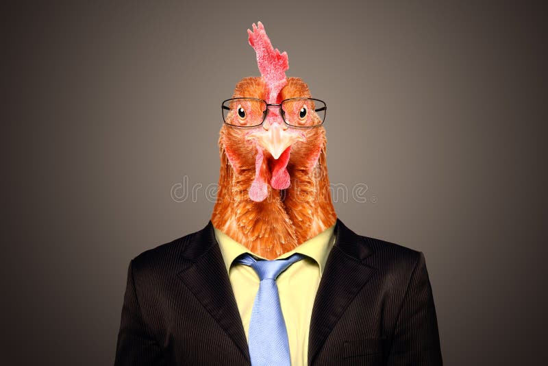Portrait of a rooster in a business suit and glasses