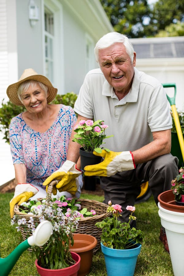 Portrait of Senior Couple Gardening Together Stock Image - Image of ...