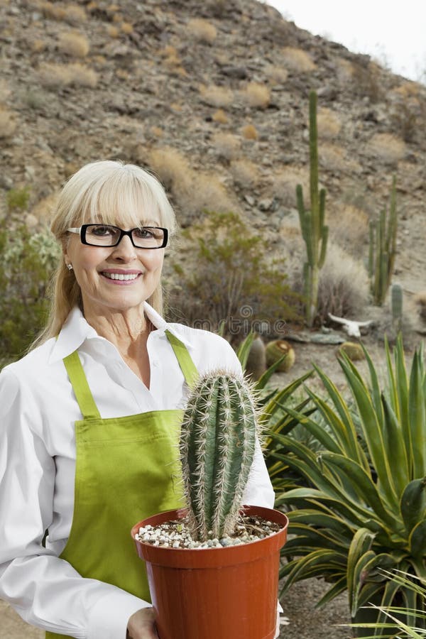 Portrait of a senior gardener holding potted cactus plant stock images Portrait of a senior gardener holding potted cactus plant stock images